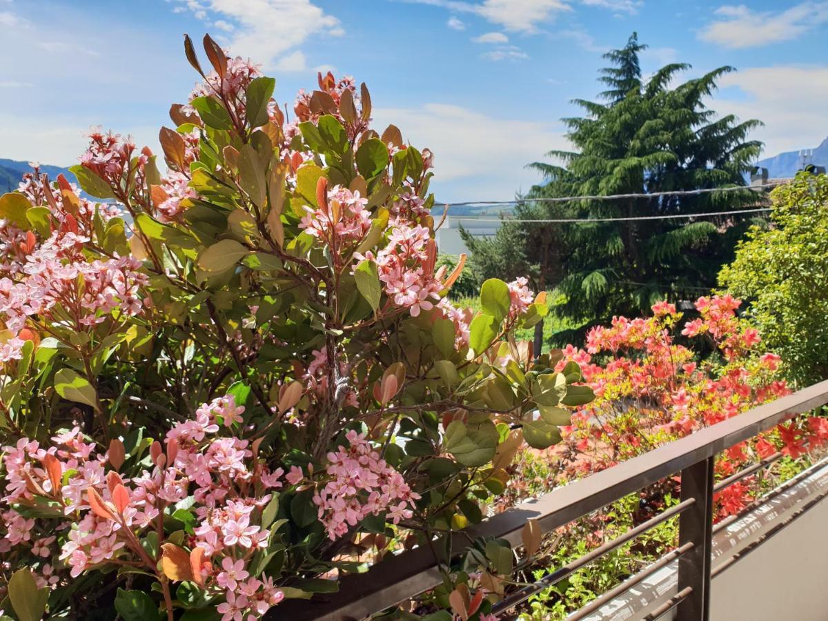 Domus Rose Rooms Bozen Extérieur photo